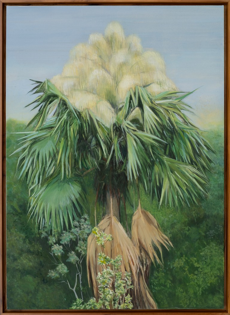 Mahesh Baliga, Tailpot palm, 2026, casein on linen, 30 x 22 in. Courtesy of the artist and Project 88