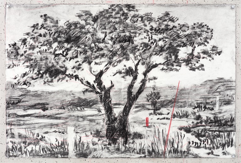 William Kentridge, Drawing for L'Orfeo (Diverging Tree), 2025, Charcoal and coloured pencil on paper, 40 x 59.5 cm, Courtesy the artist and Goodman Gallery